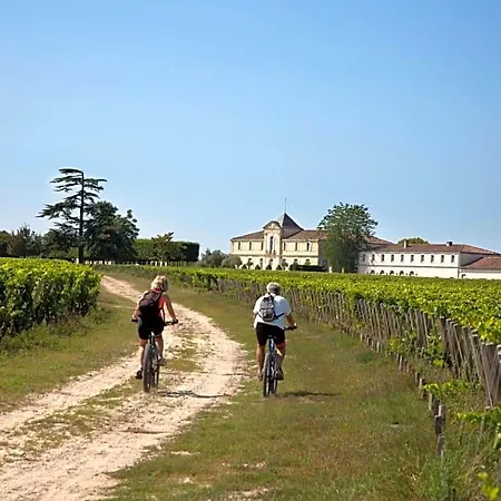 Wine D'hotes